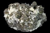 Cubic Pyrite, Chalcopyrite and Quartz Crystal Association - Peru #136198-1